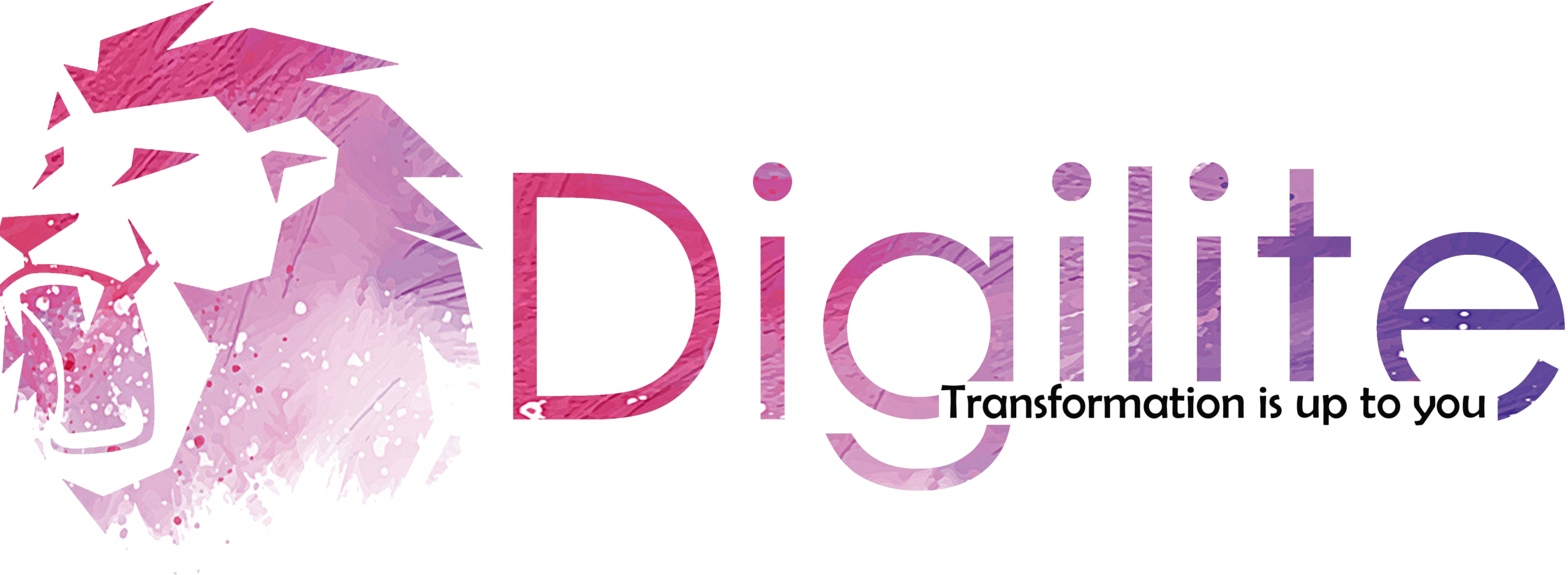 Digi Lite Pro Coaching